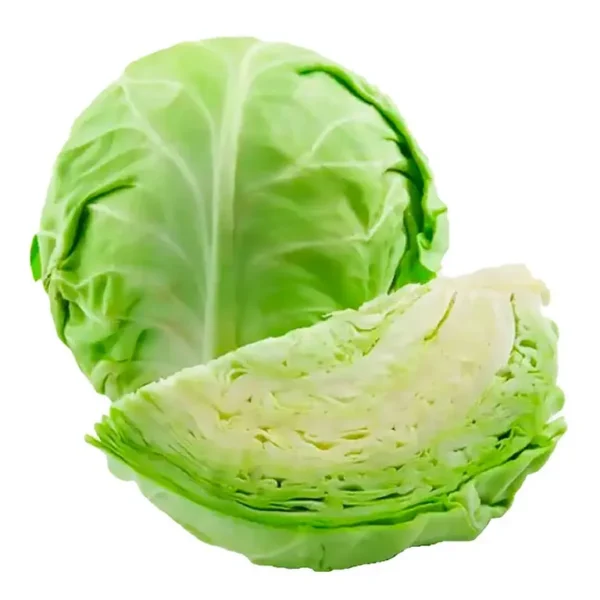 REPOLHO